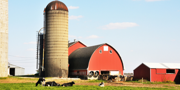 Farm and Agribusiness Insurance